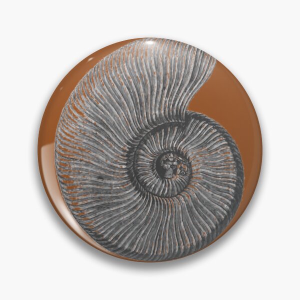 Item preview, Ammonite Fossil Art Print 	 designed and sold by rqwhpibt74.