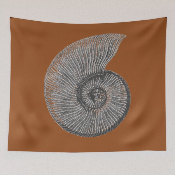Item preview, Ammonite Fossil Art Print 	 designed and sold by rqwhpibt74.