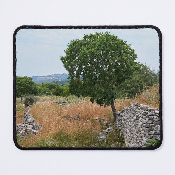 Item preview, On The Fields. Theologos. Thassos 2023 65 designed and sold by Jouko Lehto Photography.