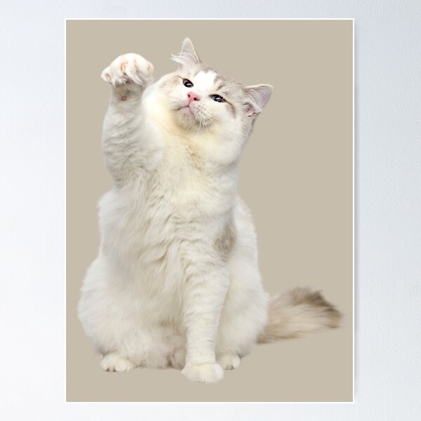 Item preview, Ragdoll Cat designed and sold by RainbowSpinkle.