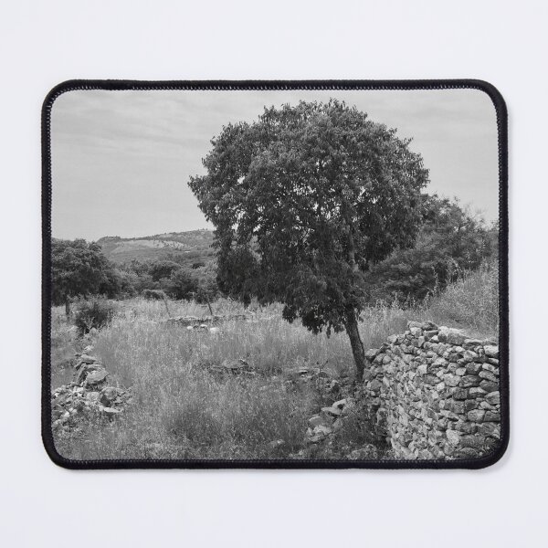 Item preview, On The Fields. Theologos. Thassos 2023 67 bw designed and sold by Jouko Lehto Photography.