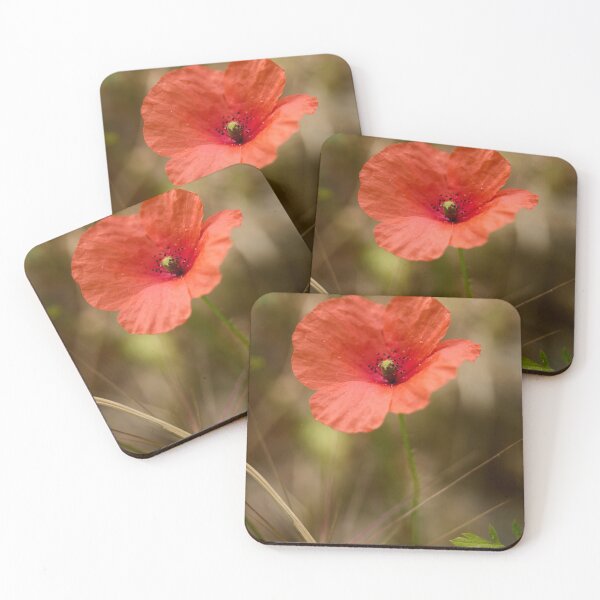 Item preview, The Red Poppy. Theologos. Thassos 2023 71 designed and sold by Jouko Lehto Photography.