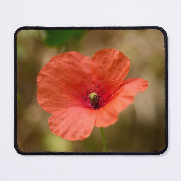 Item preview, The Red Poppy. Theologos. Thassos 2023 71 designed and sold by Jouko Lehto Photography.