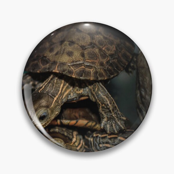 Item preview, My Turtles designed and sold by Miqdadi.
