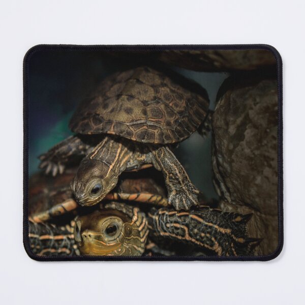 Item preview, My Turtles designed and sold by Miqdadi.