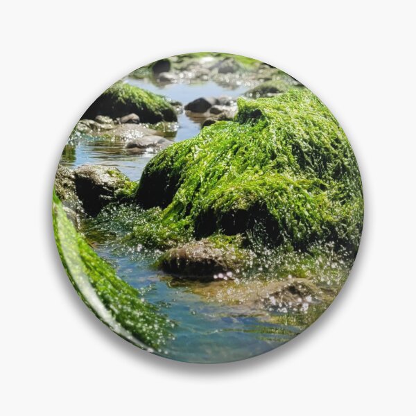 Item preview, Rock Pools designed and sold by OhNoNotAgain42.