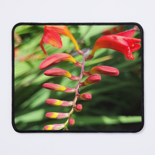 Item preview, Crocosmia designed and sold by OhNoNotAgain42.