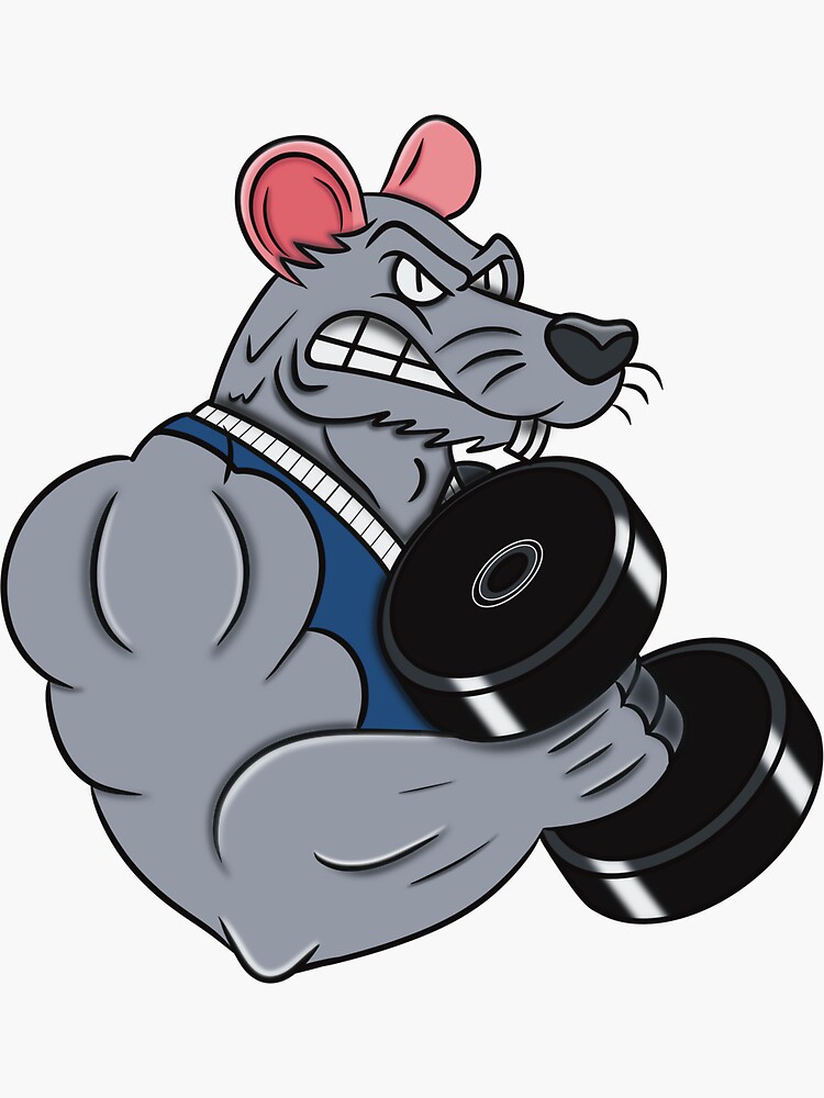 Gym Rat Sticker for Sale by American Artist