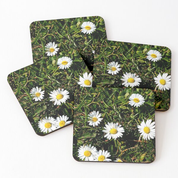Item preview, Daisy Flowers designed and sold by AshleighJane95.