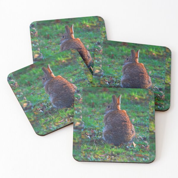 Item preview, RABBIT C2023 SteveYellowbear Fine Art designed and sold by SteveYellowbear.