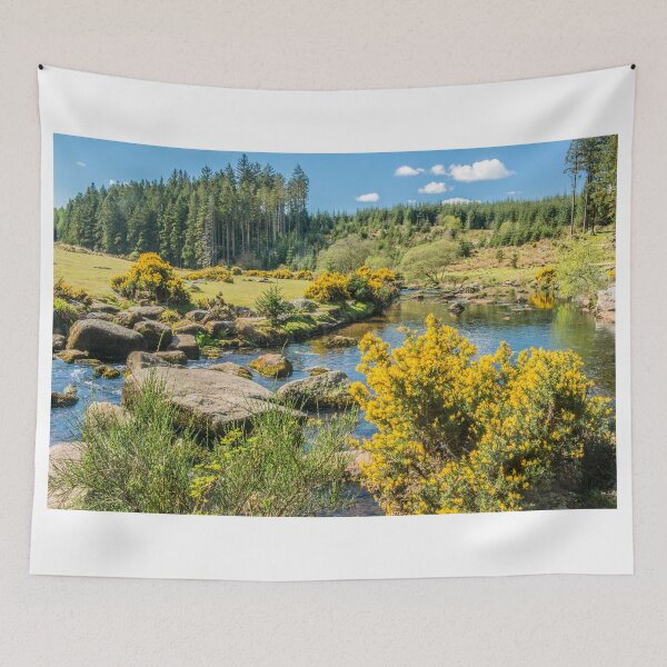 Item preview, East Dart River at Bellever on Dartmoor on a Sunny Day designed and sold by Cameranick.