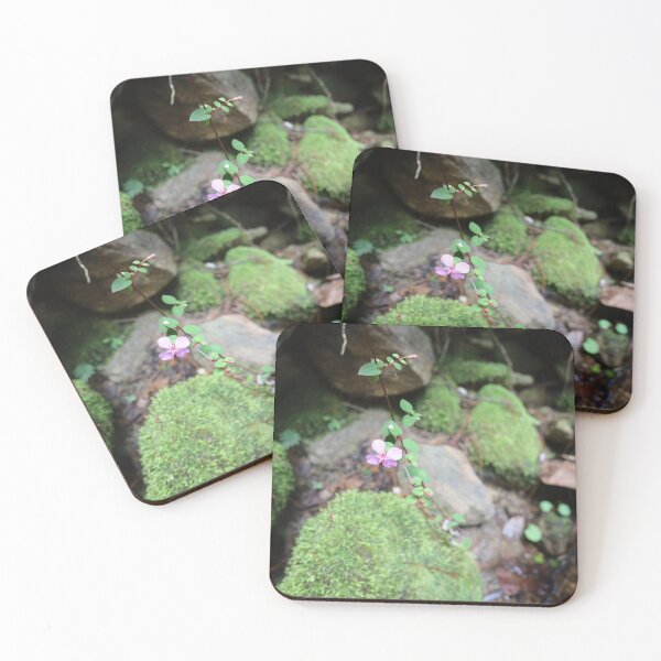 Item preview, cusuco park flowers designed and sold by erinsflicks.