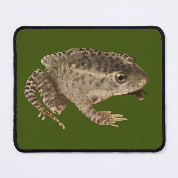 Artikelvorschau, Gopher-Frosch | Frosch | Kröte entworfen und verkauft von AlyCastelluccio.