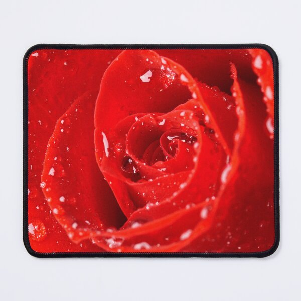 Item preview, Water droplets on a red rose. designed and sold by bailey-cooper.