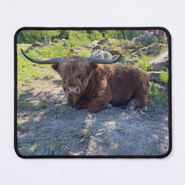 Item preview, Scottish Highland Cattle Bull 4463 designed and sold by SaarelaHighland.