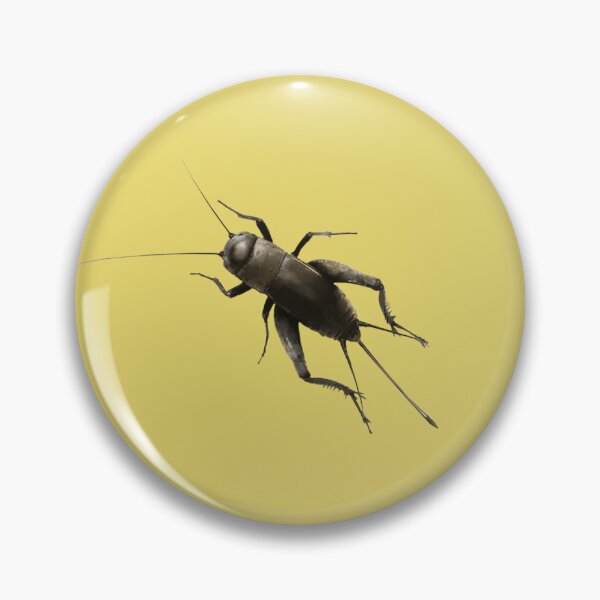 Item preview, Fall Field Cricket  | Cricket designed and sold by AlyCastelluccio.
