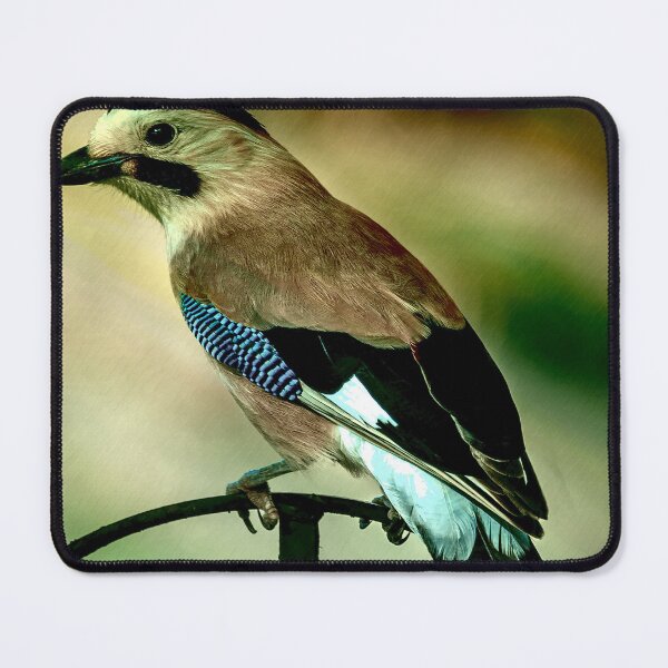 Item preview, Portrait of a Mockingbird designed and sold by James DeFazio.