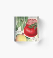 Maule's Seed Book 1933 - Veg Acrylic Block