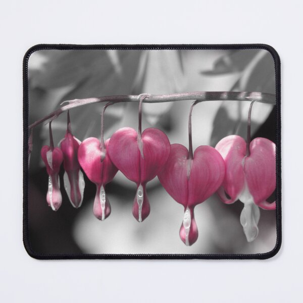 Item preview, Bleeding Heart - Selective Color designed and sold by Lioness.Pictures.