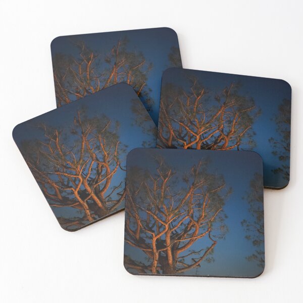 Item preview, Majestic Pinus sylvestris in the night's dark blue  designed and sold by Curiosity48.