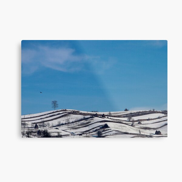 February 2013 (2) Metal Print