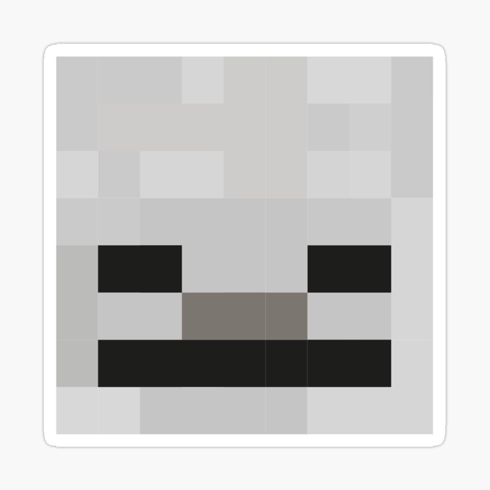 Skeleton Minecraft Face