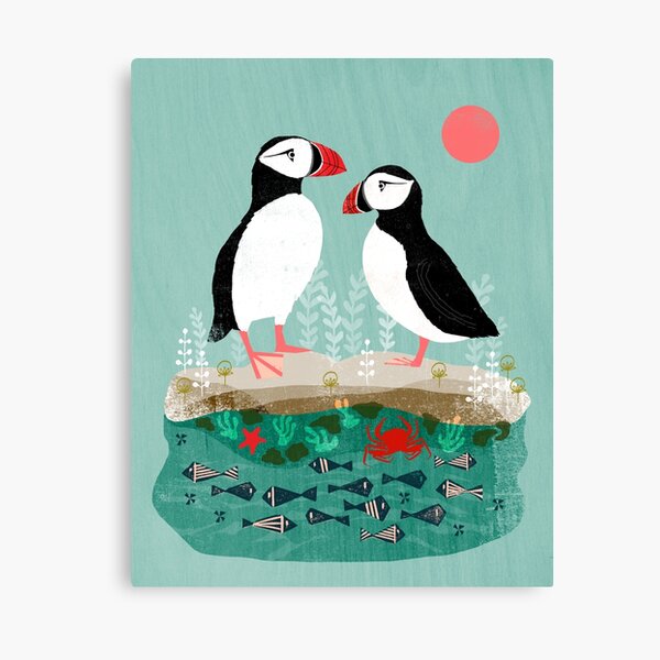 Puffins - Pair of Seabirds, Ocean, Sea Life, Coastal Art by Andrea Lauren Canvas Print