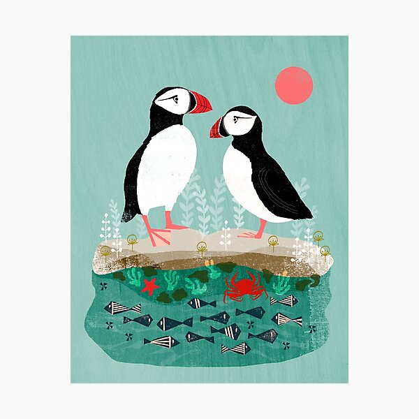 Puffins - Pair of Seabirds, Ocean, Sea Life, Coastal Art by Andrea Lauren Photographic Print