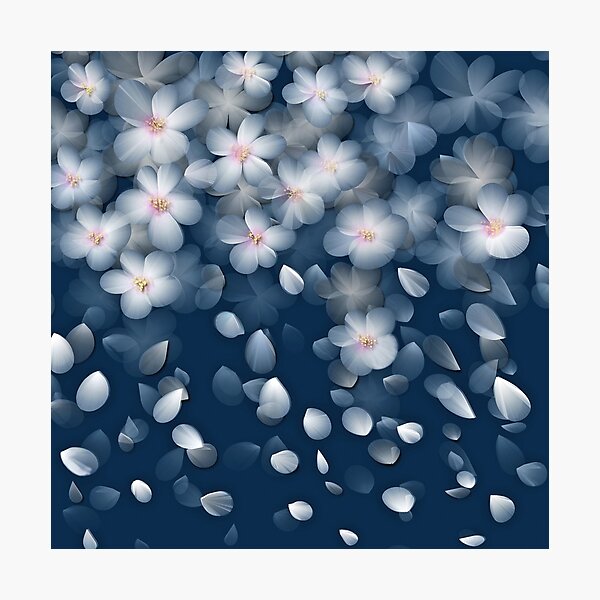 Navy and White Cherry Blossom Design Photographic Print