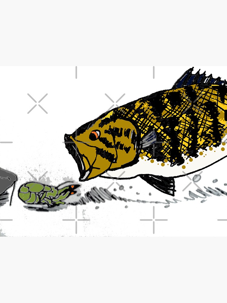 Smallmouth Bass Sticker Decal