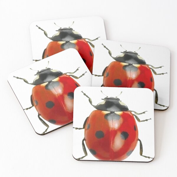 Item preview, Ladybug photo designed and sold by Nostrathomas66.