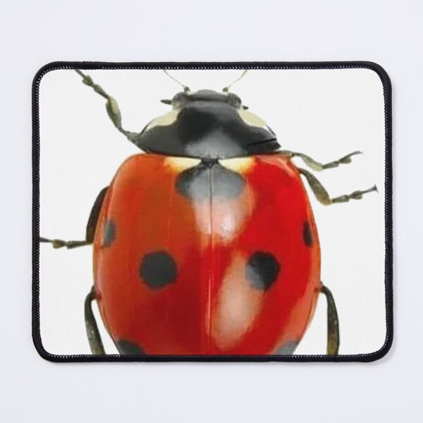 Item preview, Ladybug photo designed and sold by Nostrathomas66.