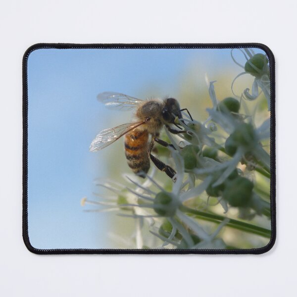 Item preview, Bee on Allium designed and sold by Lioness.Pictures.