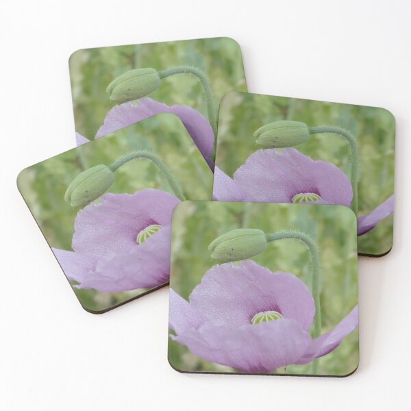 Item preview, purple poppies with drops designed and sold by Lioness.Pictures.