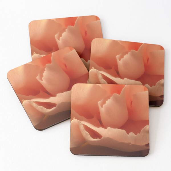 Item preview, Delicate Soft Salmon Rose  designed and sold by Robert Watcher.