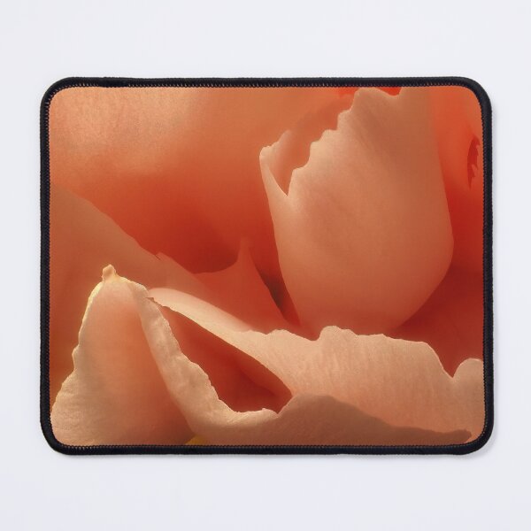 Item preview, Delicate Soft Salmon Rose  designed and sold by Robert Watcher.