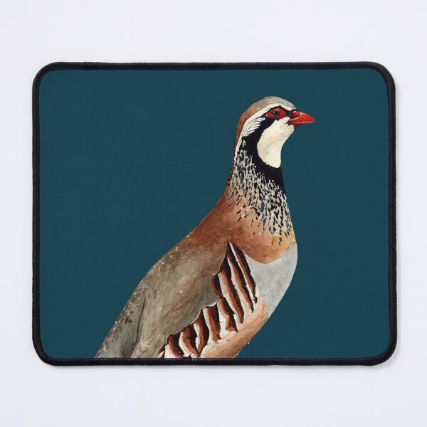 Item preview, RED LEGGED PARTRIDGE-Alectoris rufa designed and sold by BEATRIZ ABAITUA.
