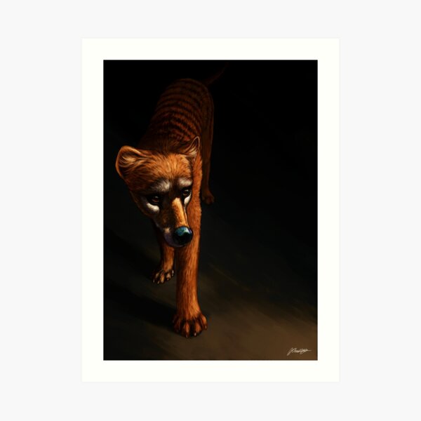 Out of the Shadows Art Print
