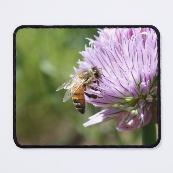 Item preview, Bee on Chives designed and sold by Lioness.Pictures.