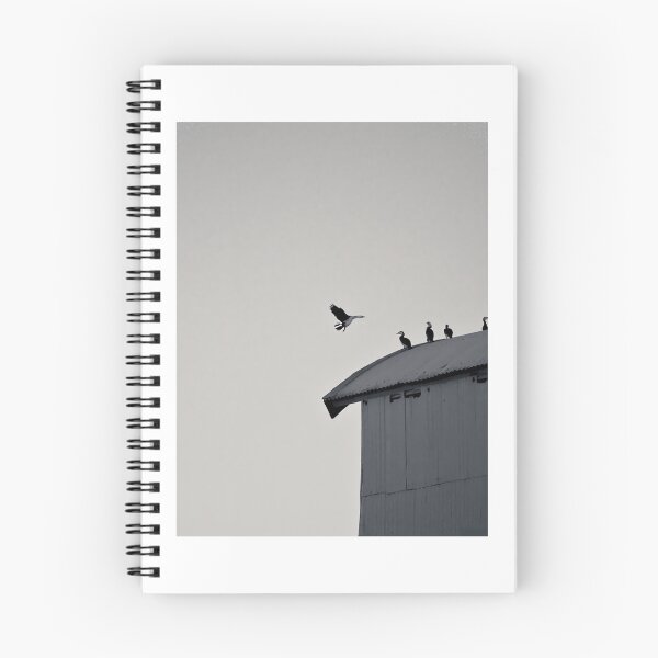 Item preview, Queenscliff Cormorants Greeting Card 	 designed and sold by ejlrolewz16.