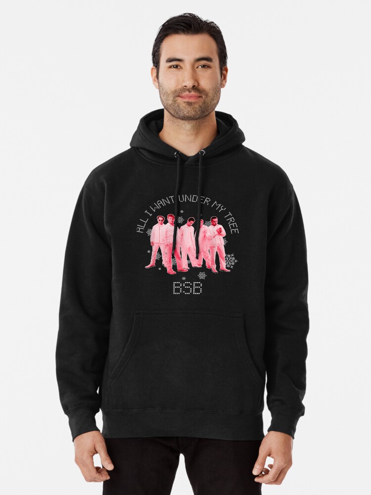 Backstreet boys hoodie best sale