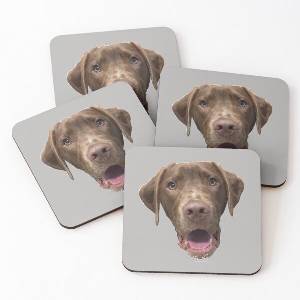 Artikelvorschau, OMG Hundegesicht entworfen und verkauft von Animal Friends of Barbour County.