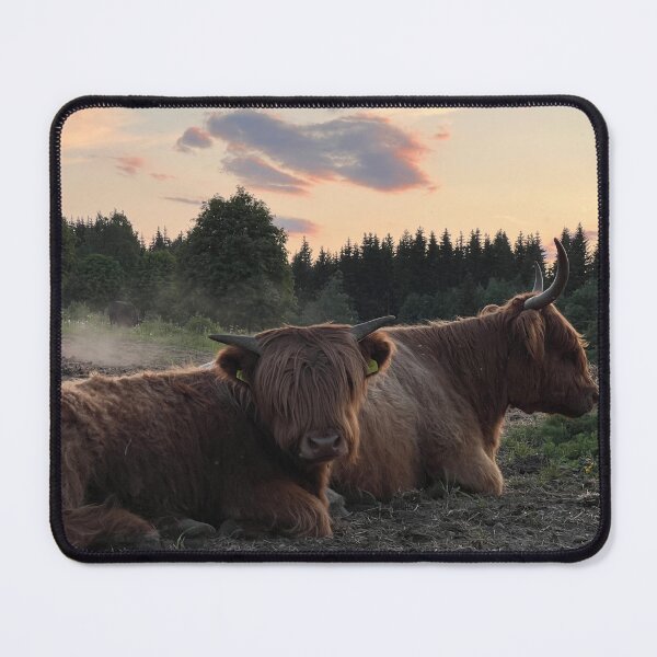 Item preview, Scottish Highland Cattle Cows 4482 designed and sold by SaarelaHighland.