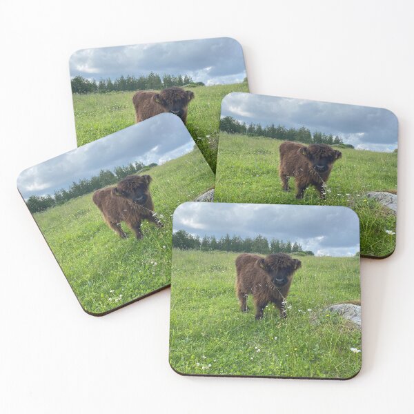 Item preview, Scottish Highland Cattle Calf 4489 designed and sold by SaarelaHighland.