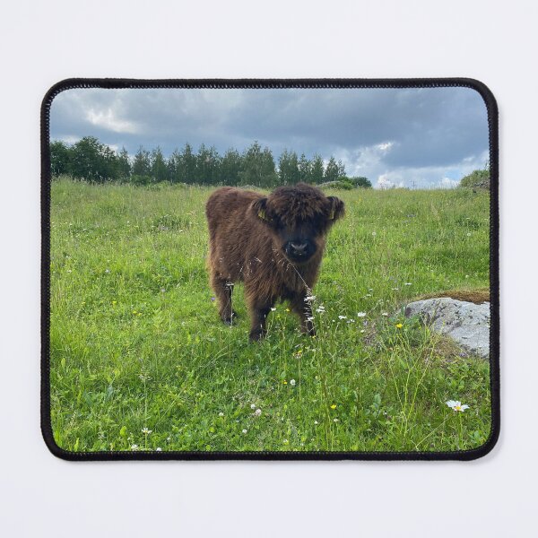 Item preview, Scottish Highland Cattle Calf 4489 designed and sold by SaarelaHighland.