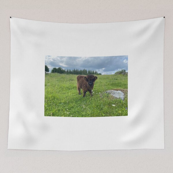 Item preview, Scottish Highland Cattle Calf 4489 designed and sold by SaarelaHighland.