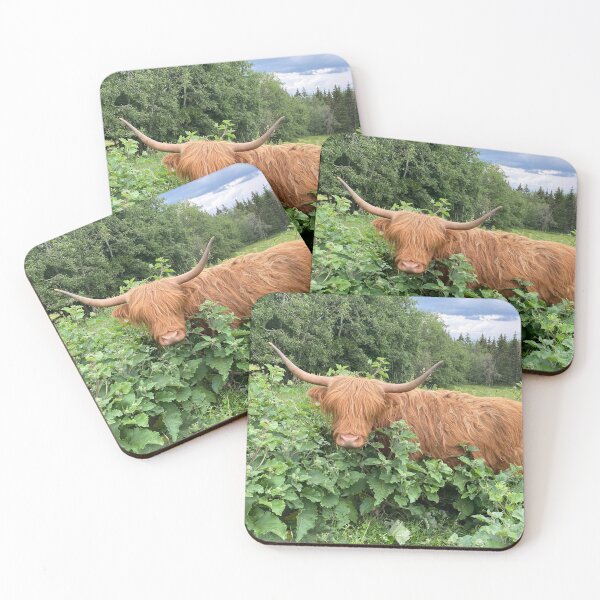 Item preview, Scottish Highland Cattle Cow 4490 designed and sold by SaarelaHighland.