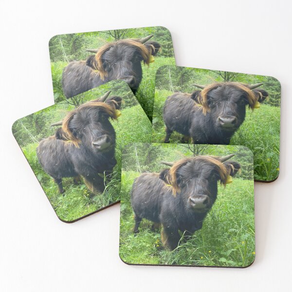 Item preview, Scottish Highland Cattle Calf 4491 designed and sold by SaarelaHighland.