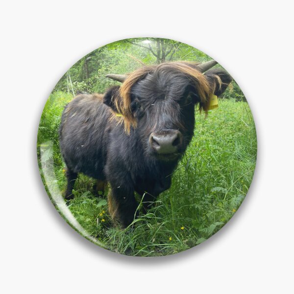 Artikelvorschau, Scottish Highland Cattle Calf 4491 entworfen und verkauft von SaarelaHighland.