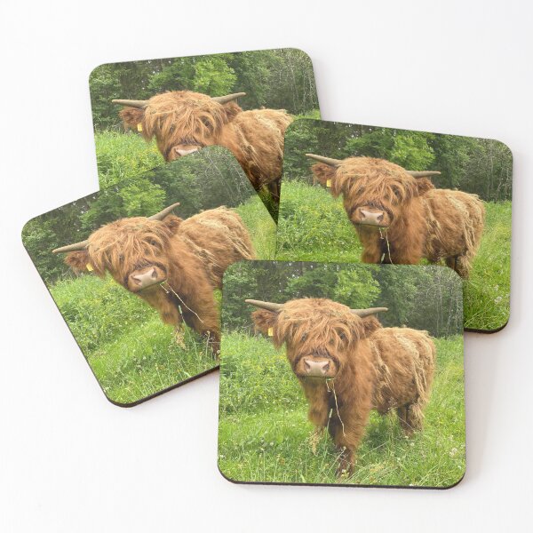 Item preview, Scottish Highland Cattle Calf 4492 designed and sold by SaarelaHighland.